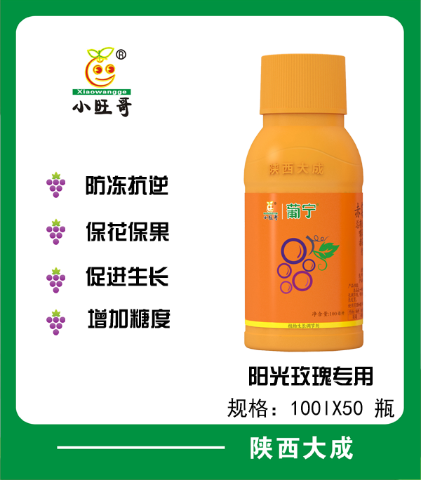 葡宁圆粒型