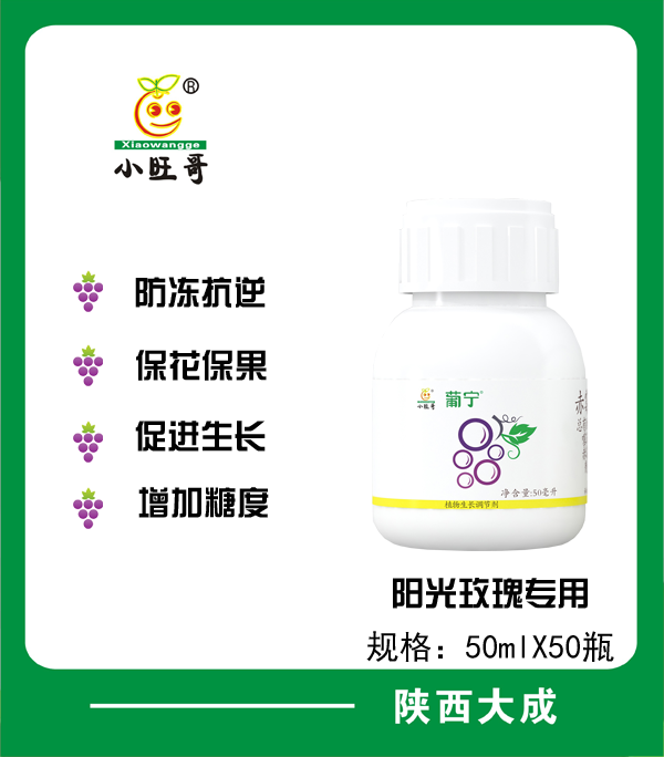 萄宁50毫升