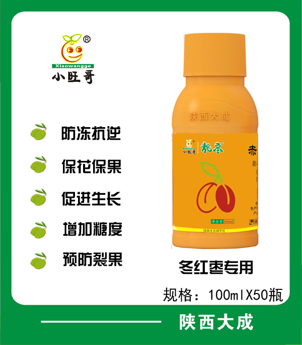 靓枣