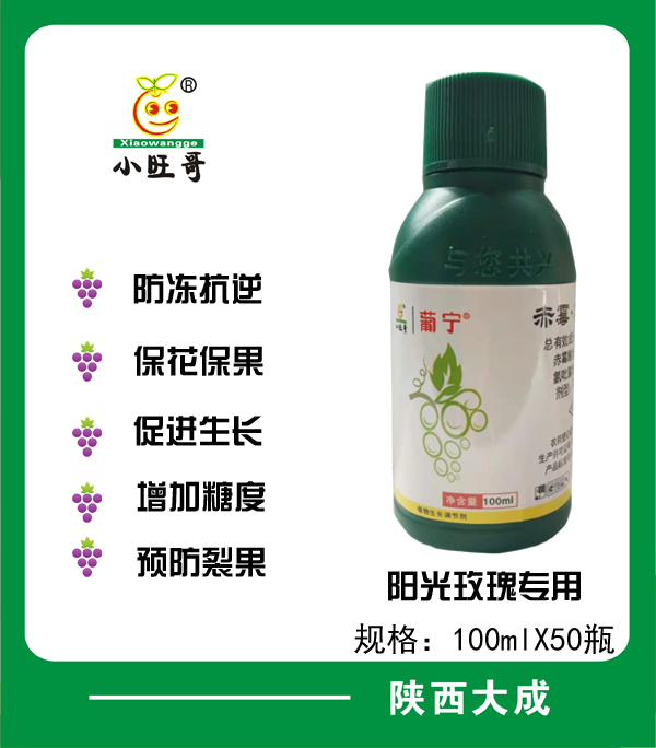 葡宁长粒型