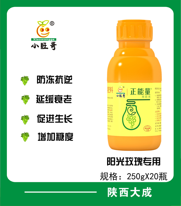 正能量