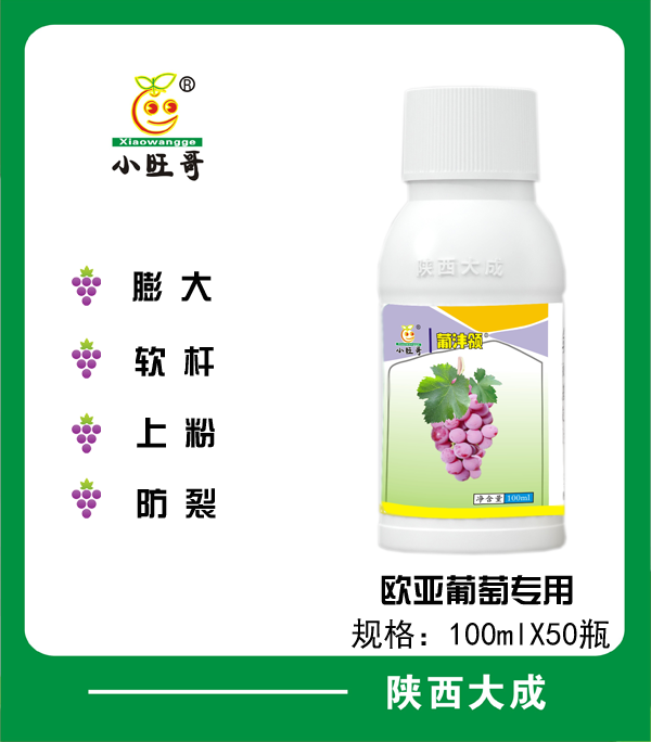葡沣领