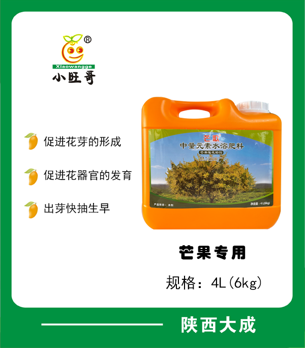 芒歌