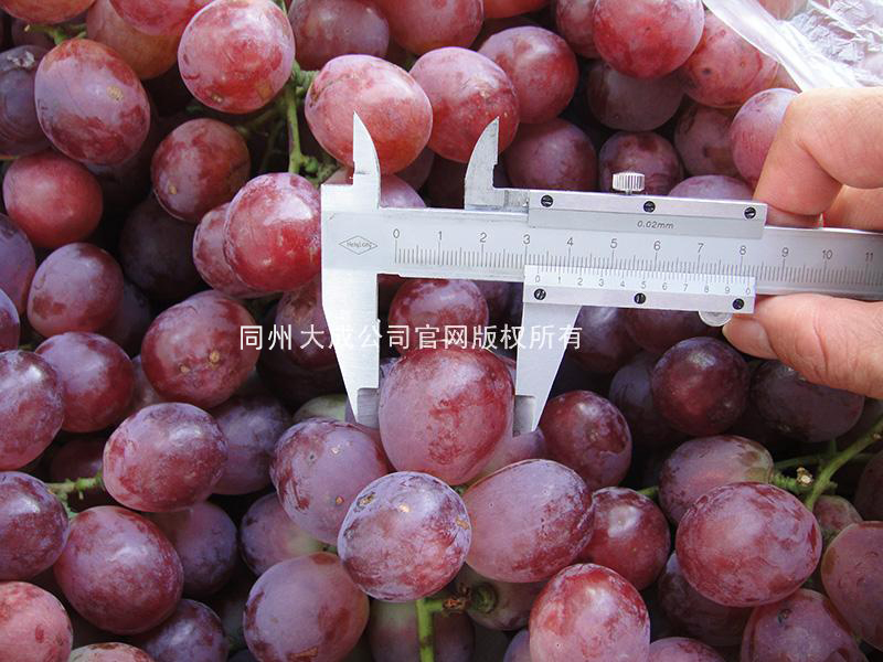 使用葡丰灵的效果