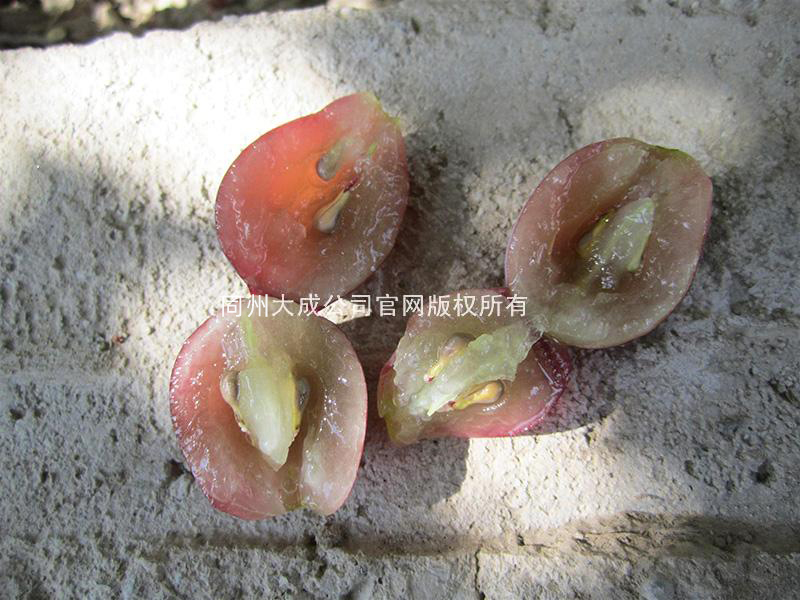 使用葡丰灵的效果