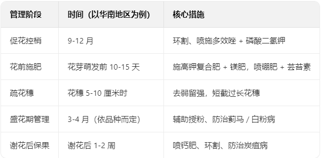 芒果花芽分化期→盛花期→保果期的日管理手册