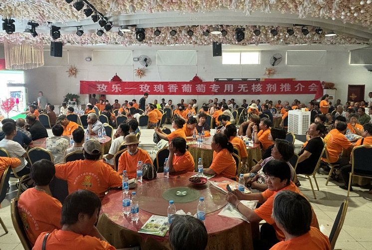玫乐