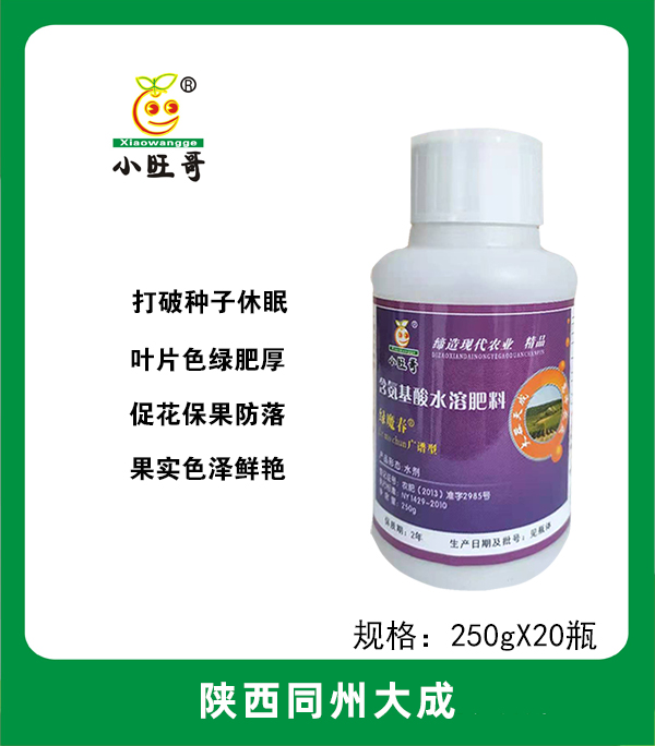 绿魔春