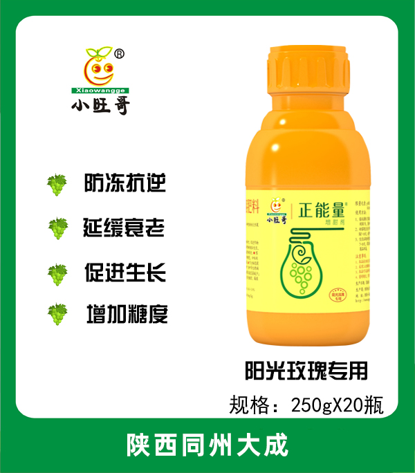 正能量