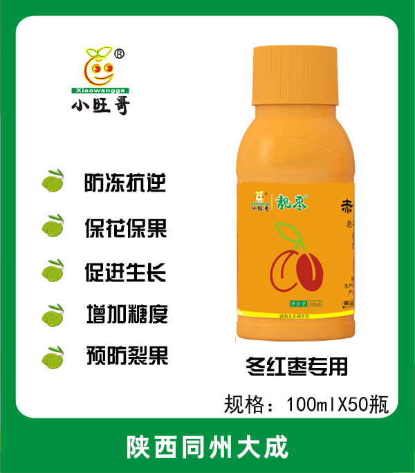 靓枣