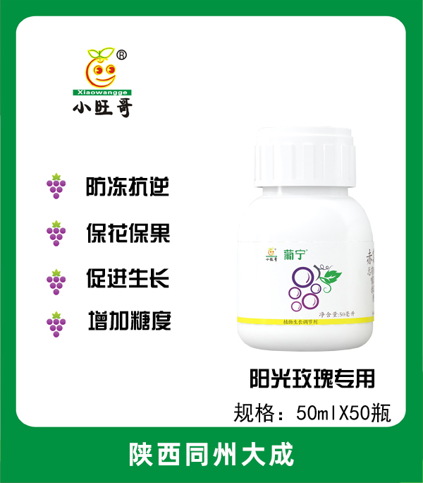 萄宁50毫升