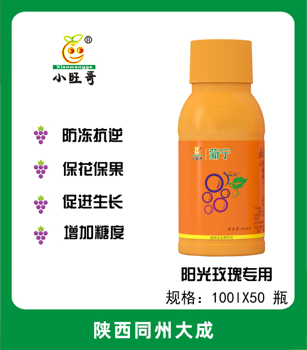 葡宁圆粒型