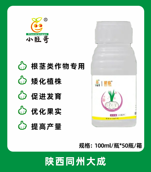 肥歌