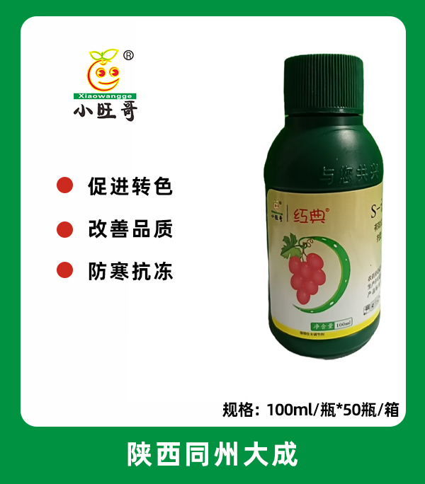 红典.jpg