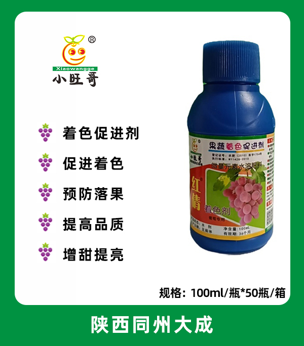 红倩.jpg