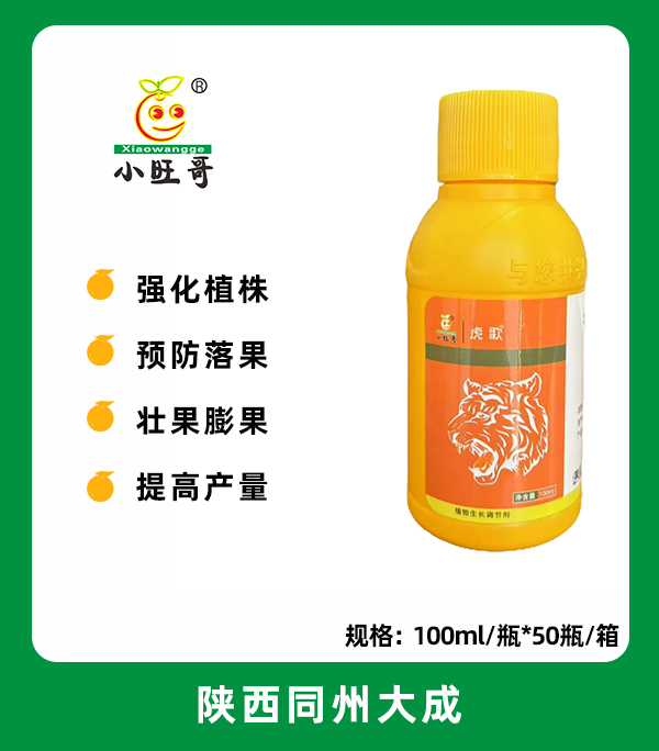 虎歌