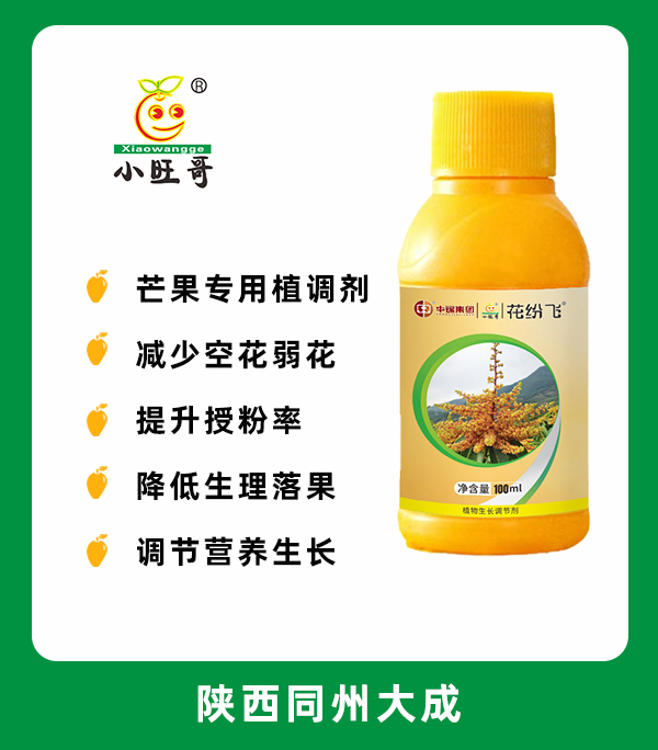 花纷飞.jpg