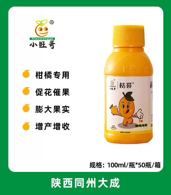桔哥.jpg