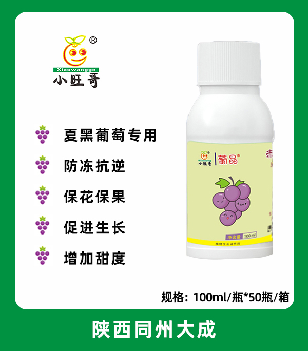 葡晶