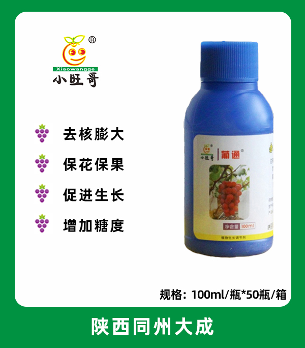 葡通.jpg