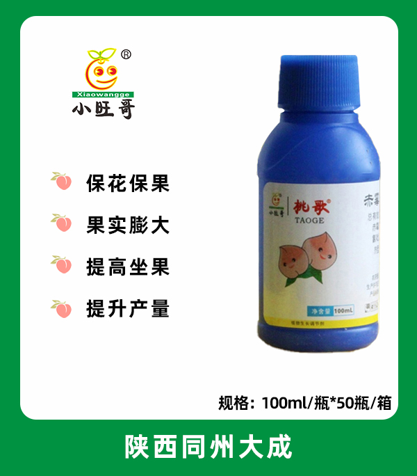 桃歌