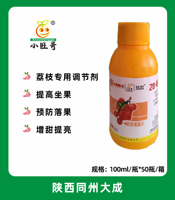 炫荔