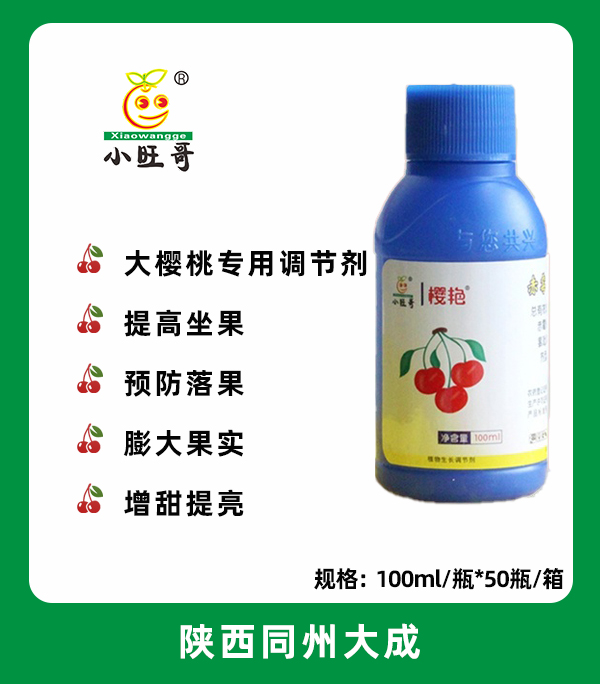 樱艳.jpg