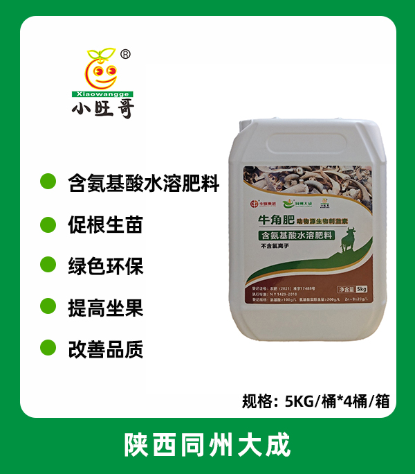 牛角肥.jpg