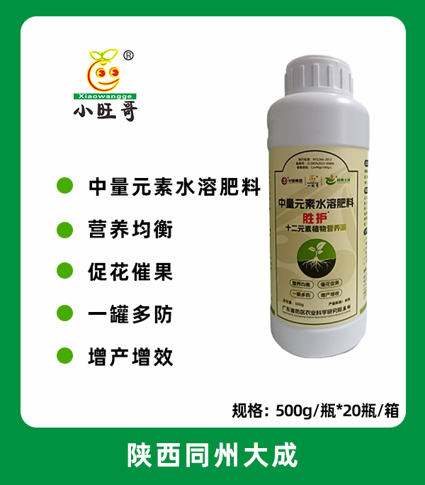 胜护