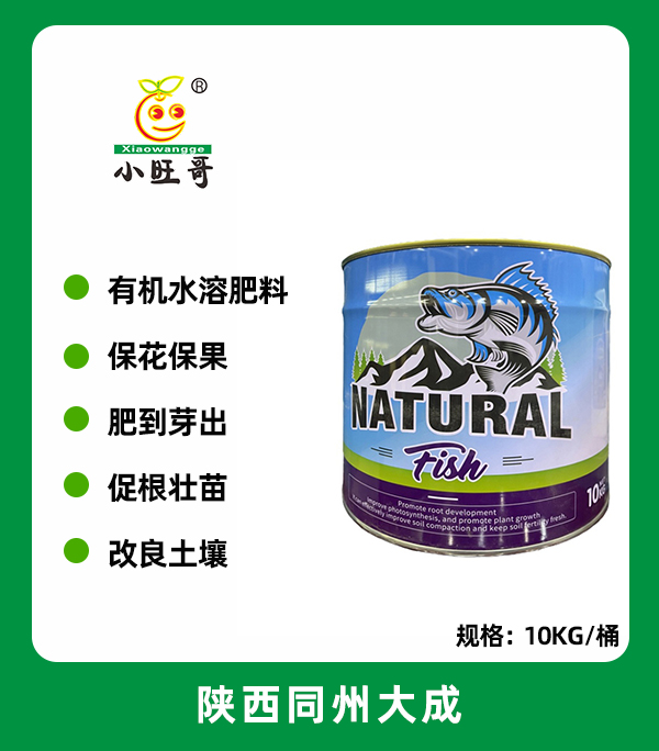 鱼蛋白.jpg