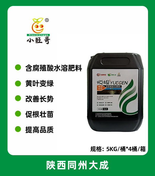 悦根.jpg