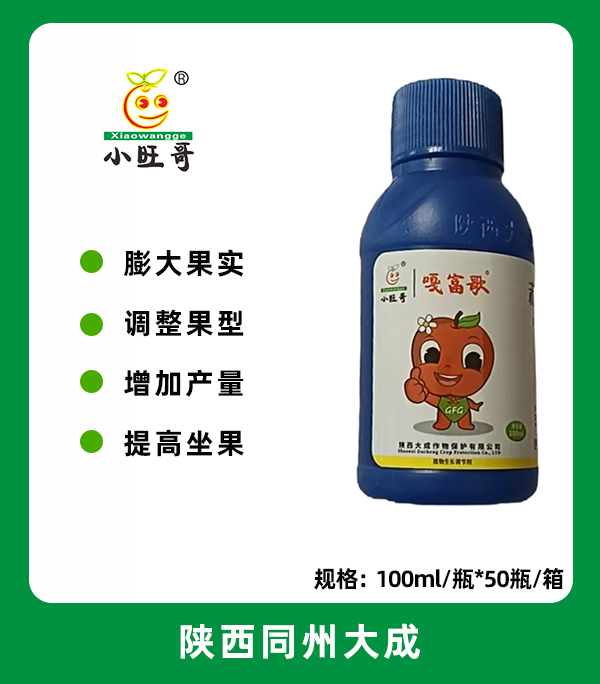 噶富歌