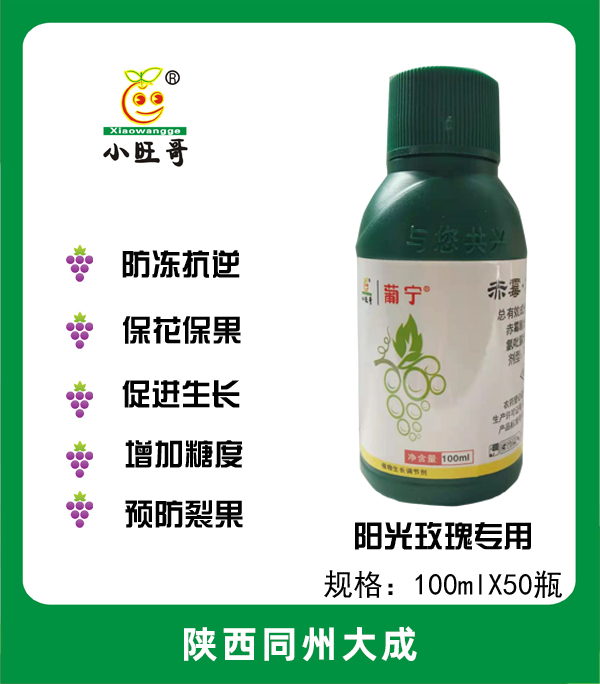 葡宁.jpg