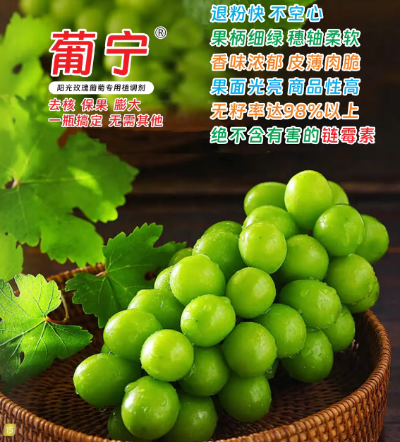 葡萄种植施肥