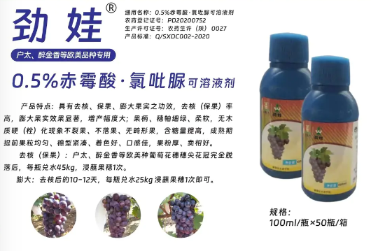 陕西同州大成 陕西同州大成