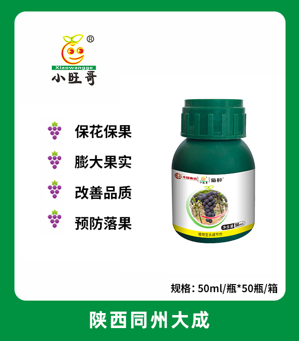 1775618262813370.jpg 葡醉.jpg