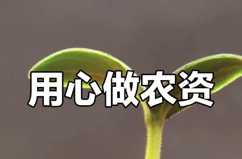 果树秋施基肥常见问题解答