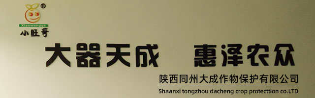 公司简介